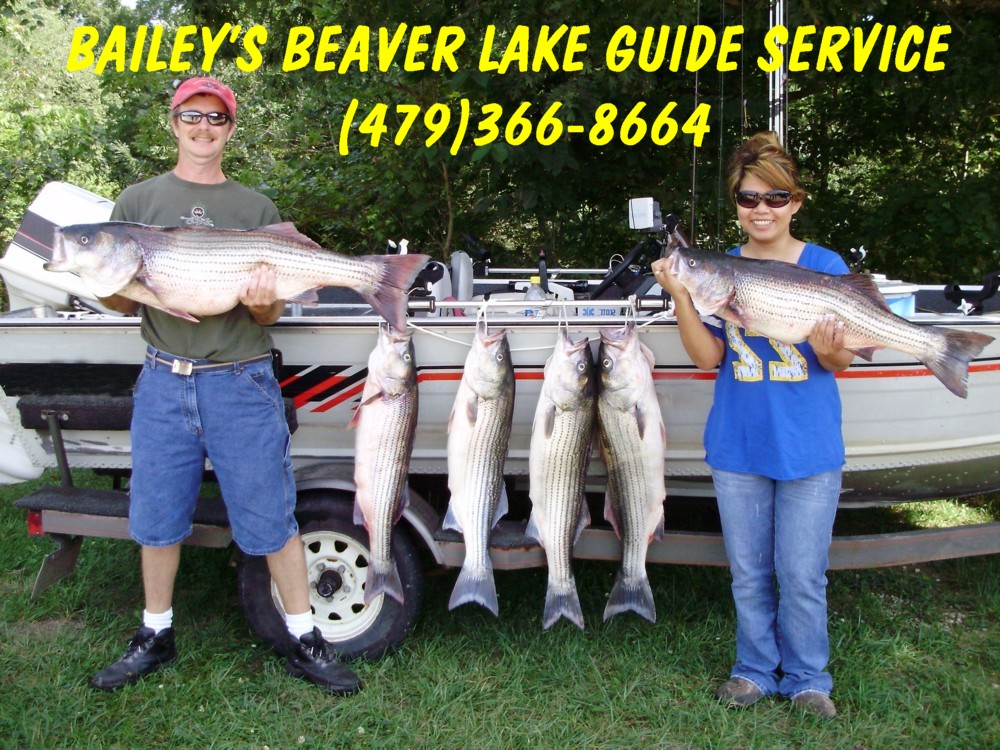 baileys_beaver_lake. 