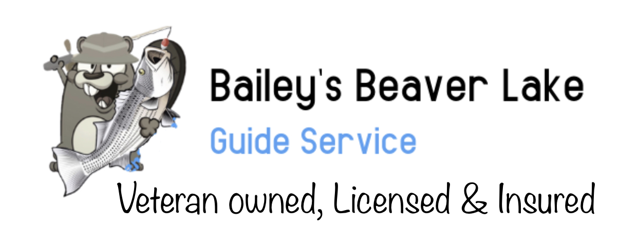 Lake guide service beaver Bailey's Beaver