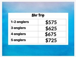 Beaver Lake Striper Fishing Guide full day 8hr rates