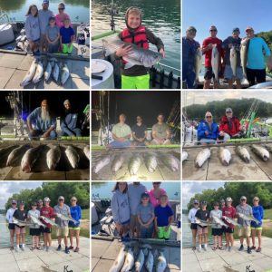 Beaver Lake Striper Fishing Guide for July